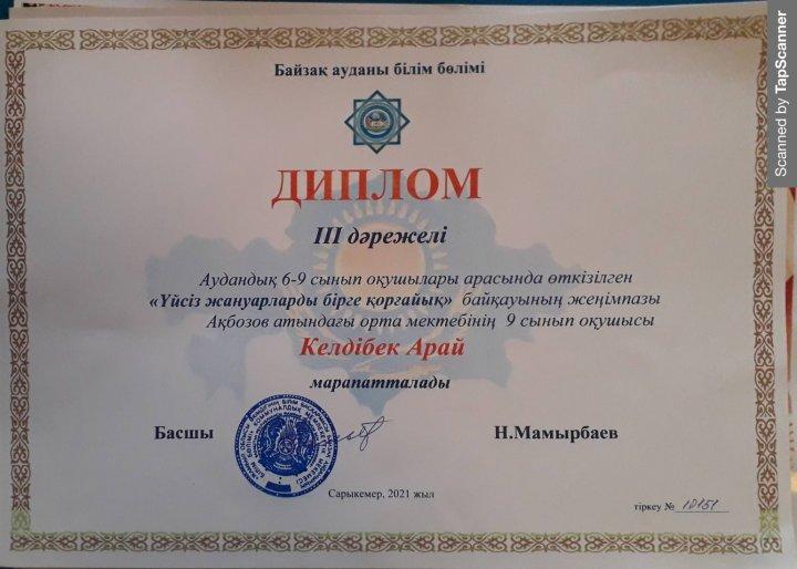 ІІІ дәрежелі диплом